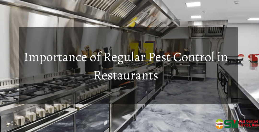 Restaurants Pest Control Service in Dhaka